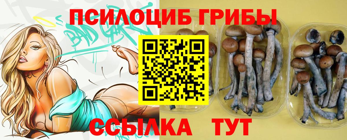 Таганрог  Галлюциногенные грибы ЛСД  Вход с VPN 