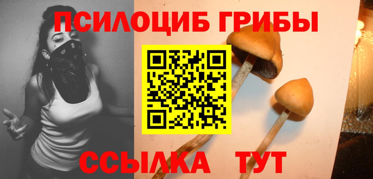 Псилоцибиновые грибы мухоморы Таганрог